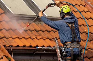 Démoussage et hydrofuge de toiture à Lavergne